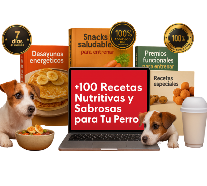 Recetas Caninas Premium con más de 100 platos caseros